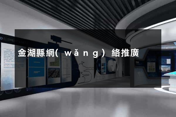 金湖縣網(wǎng)絡推廣