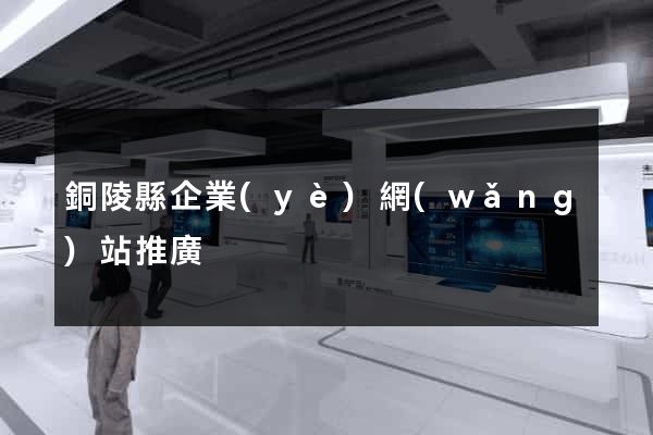 銅陵縣企業(yè)網(wǎng)站推廣