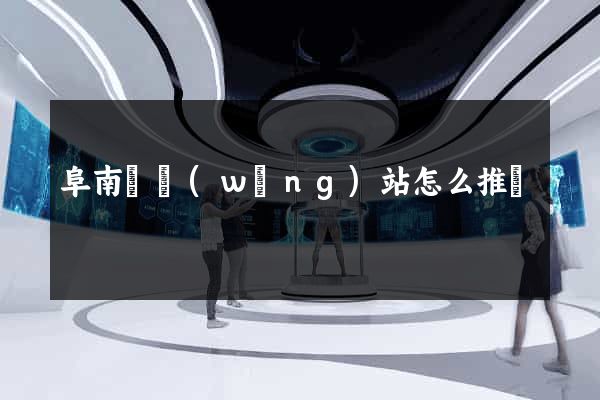 阜南縣網(wǎng)站怎么推廣