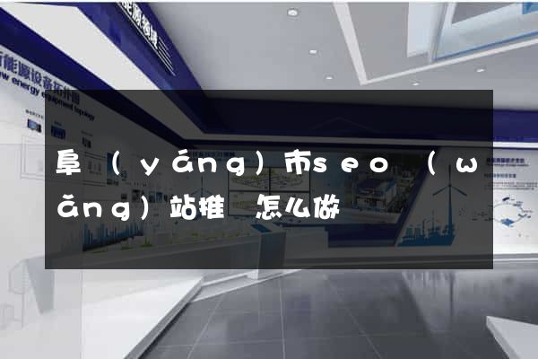 阜陽(yáng)市seo網(wǎng)站推廣怎么做