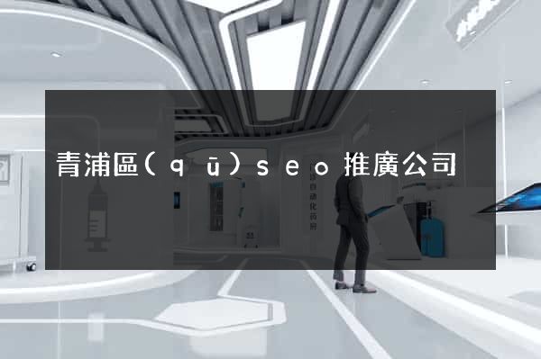 青浦區(qū)seo推廣公司