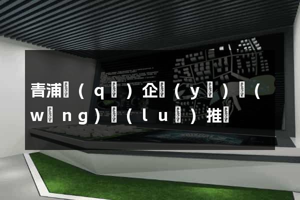 青浦區(qū)企業(yè)網(wǎng)絡(luò)推廣