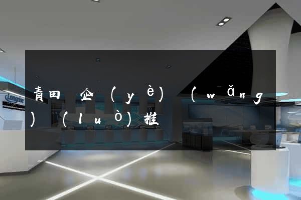 青田縣企業(yè)網(wǎng)絡(luò)推廣