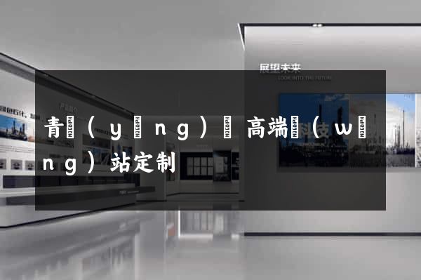 青陽(yáng)縣高端網(wǎng)站定制