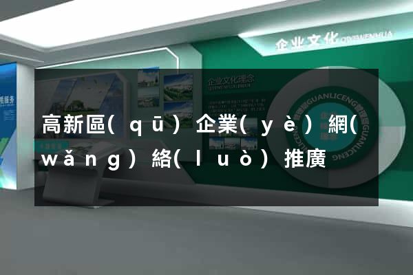 高新區(qū)企業(yè)網(wǎng)絡(luò)推廣