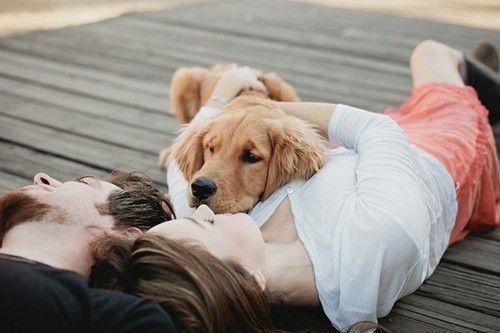 企業(yè)注冊(cè)域名費(fèi)用