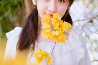 郎溪縣seo網站制作