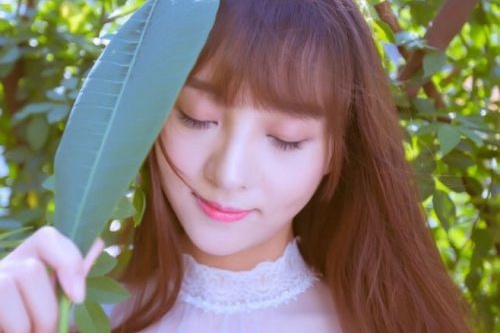 成都制作網(wǎng)站開發(fā)